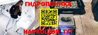 дмт Гусев