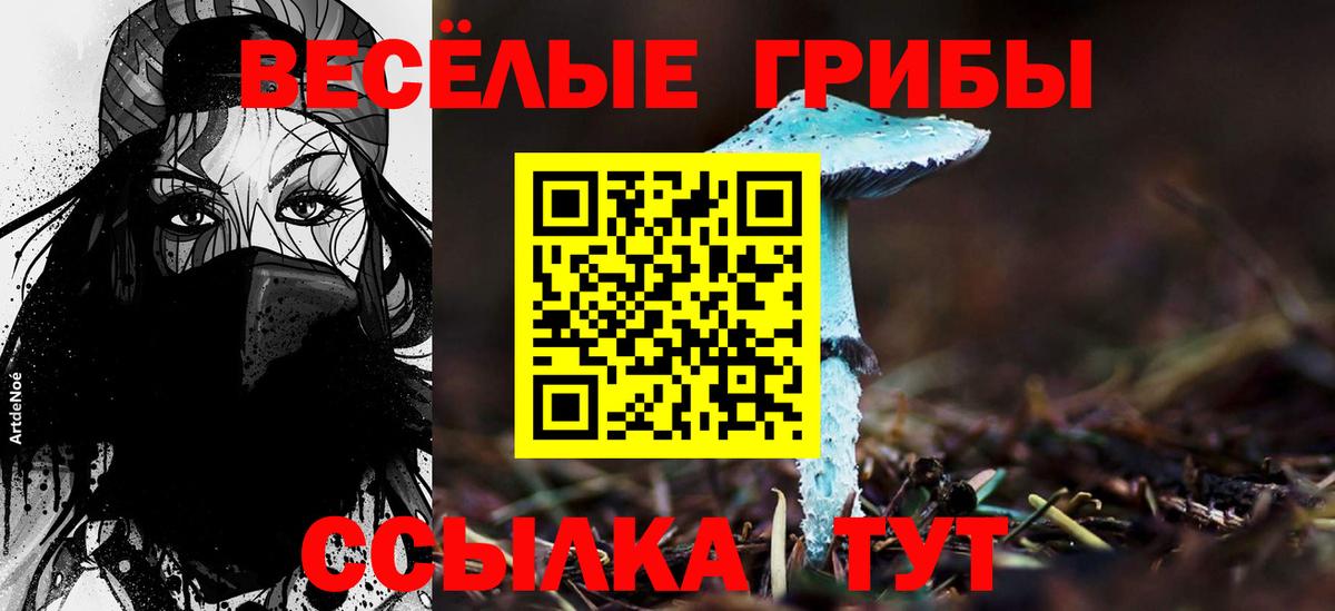 Галлюциногенные грибы GOLDEN TEACHER Ногинск