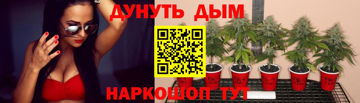 Ногинск  Марихуана планчик  Вход с VPN  Конопля AK-47  Каннабис планчик 